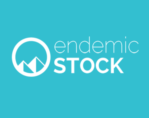 endemic stock logo